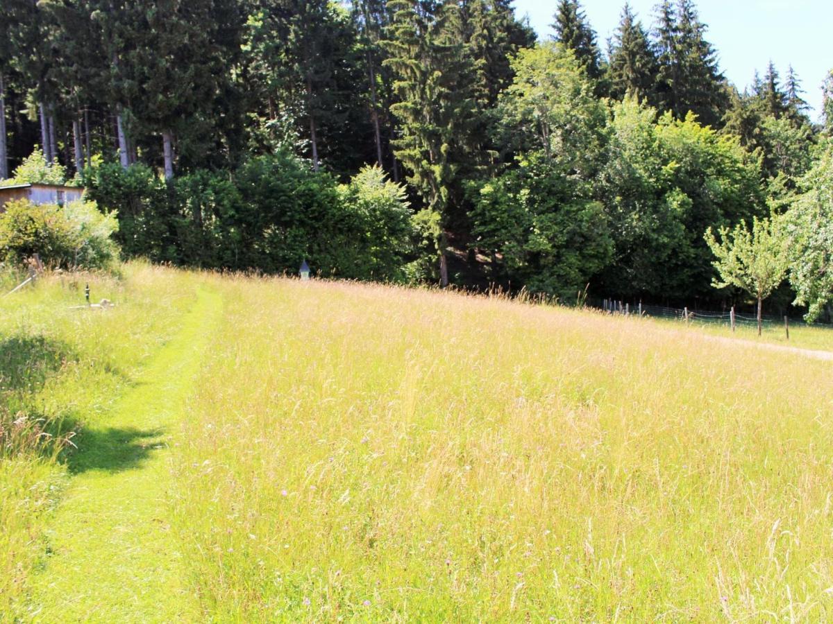 Apartment In Koettmannsdorf Near Bathing Lake Wurdach Екстер'єр фото